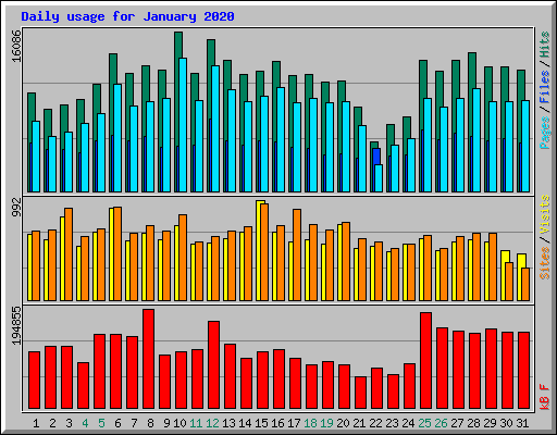 Daily usage for January 2020